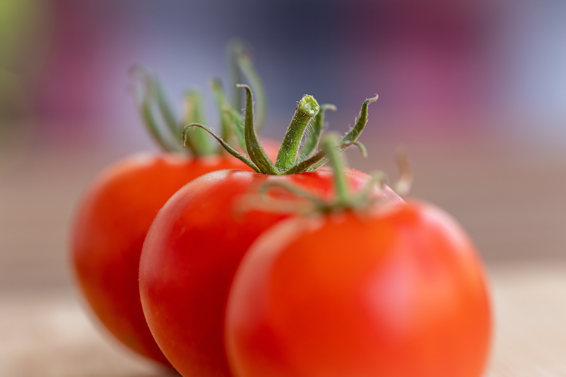tomatoes-7386111_1920